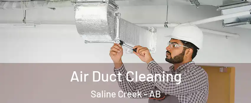  Air Duct Cleaning Saline Creek - AB