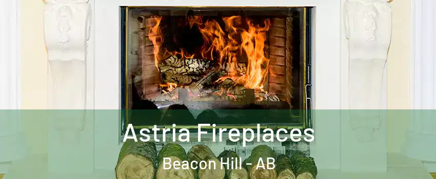  Astria Fireplaces Beacon Hill - AB