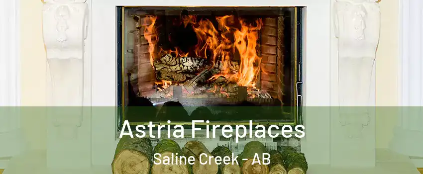  Astria Fireplaces Saline Creek - AB