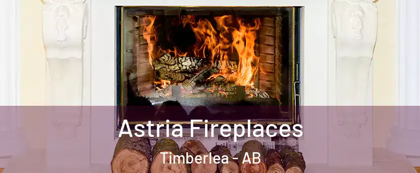  Astria Fireplaces Timberlea - AB