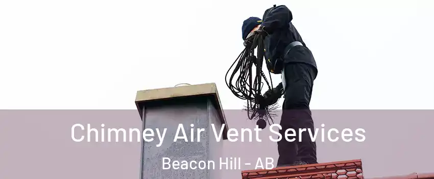  Chimney Air Vent Services Beacon Hill - AB