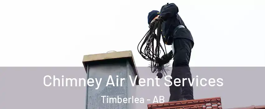  Chimney Air Vent Services Timberlea - AB
