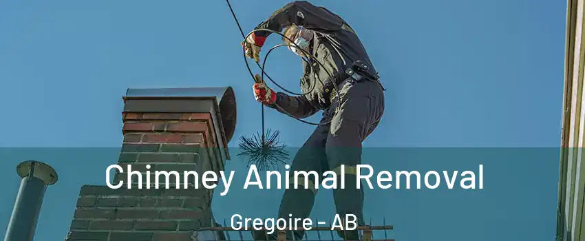  Chimney Animal Removal Gregoire - AB