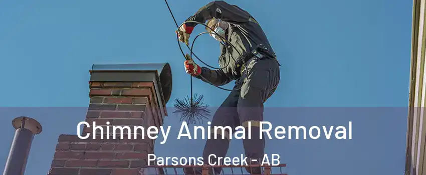  Chimney Animal Removal Parsons Creek - AB