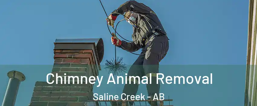  Chimney Animal Removal Saline Creek - AB