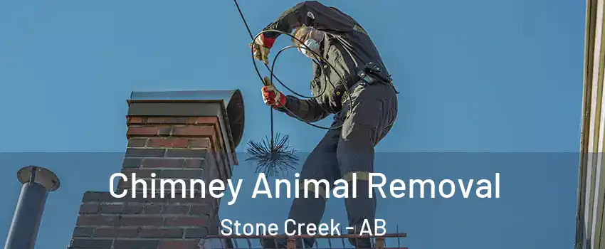  Chimney Animal Removal Stone Creek - AB
