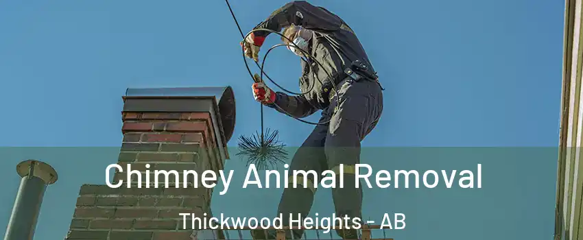  Chimney Animal Removal Thickwood Heights - AB