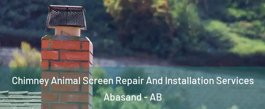  Chimney Animal Screen Repair And Installation Services Abasand - AB