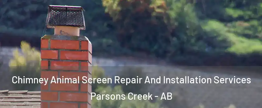  Chimney Animal Screen Repair And Installation Services Parsons Creek - AB