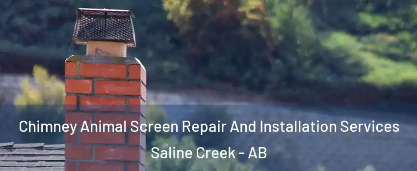  Chimney Animal Screen Repair And Installation Services Saline Creek - AB