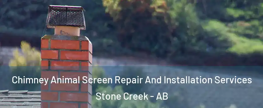  Chimney Animal Screen Repair And Installation Services Stone Creek - AB