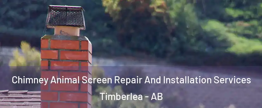  Chimney Animal Screen Repair And Installation Services Timberlea - AB