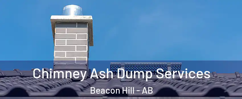 Chimney Ash Dump Services Beacon Hill - AB