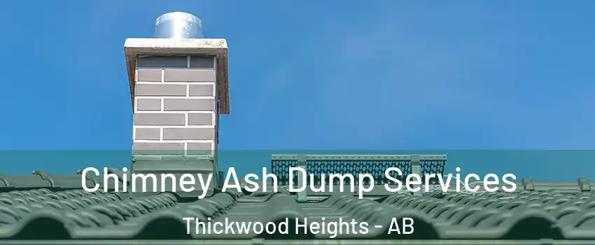  Chimney Ash Dump Services Thickwood Heights - AB