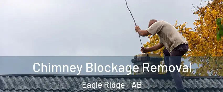  Chimney Blockage Removal Eagle Ridge - AB
