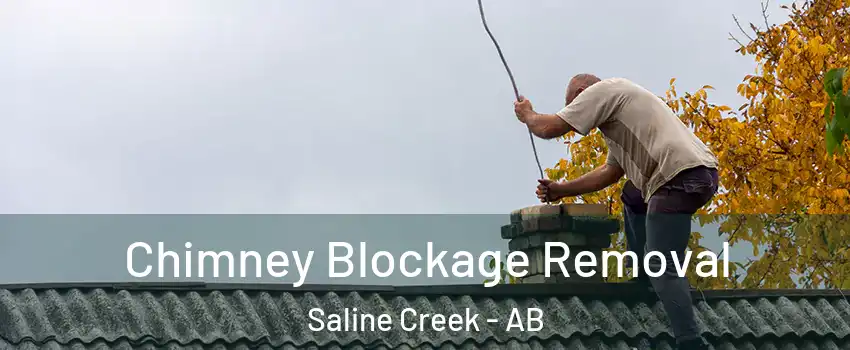  Chimney Blockage Removal Saline Creek - AB