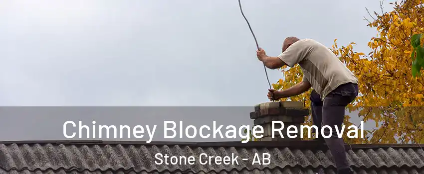  Chimney Blockage Removal Stone Creek - AB