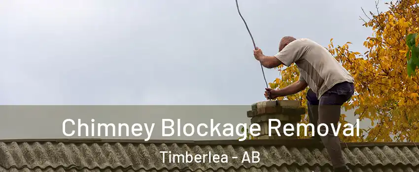  Chimney Blockage Removal Timberlea - AB