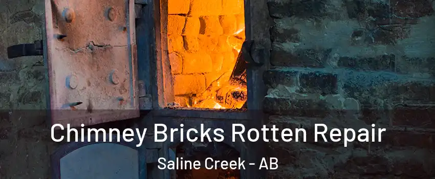  Chimney Bricks Rotten Repair Saline Creek - AB