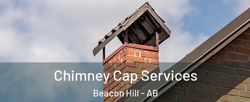  Chimney Cap Services Beacon Hill - AB