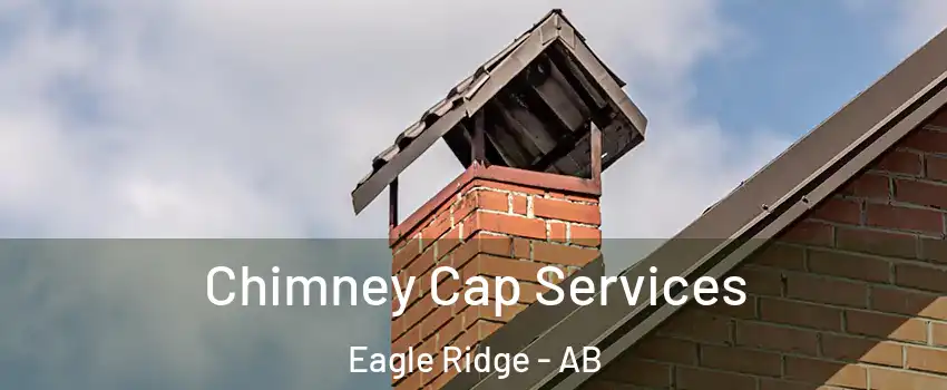  Chimney Cap Services Eagle Ridge - AB