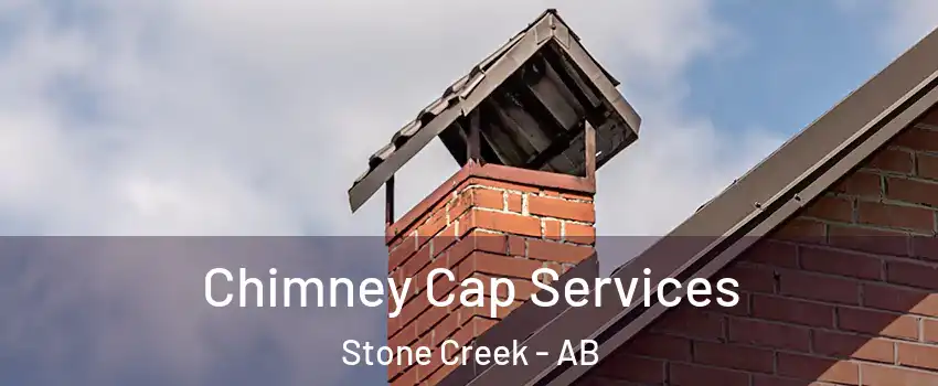  Chimney Cap Services Stone Creek - AB