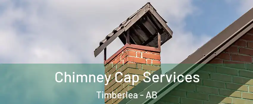  Chimney Cap Services Timberlea - AB