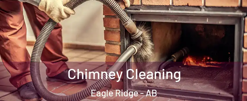 Chimney Cleaning Eagle Ridge - AB