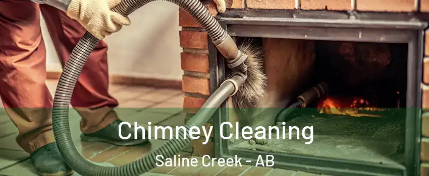  Chimney Cleaning Saline Creek - AB