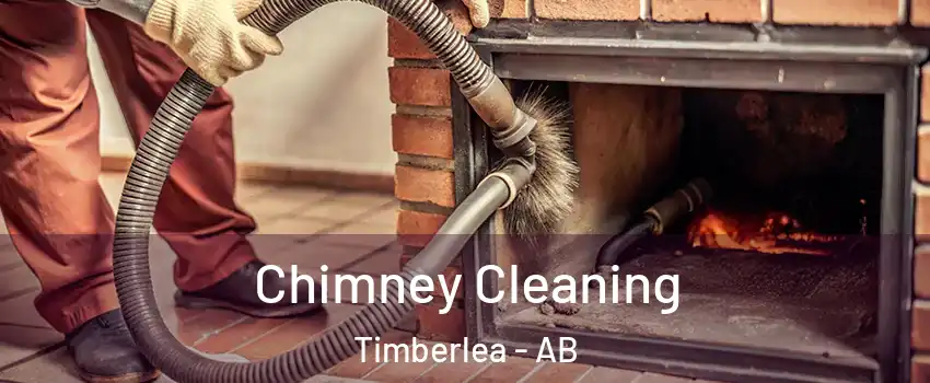  Chimney Cleaning Timberlea - AB