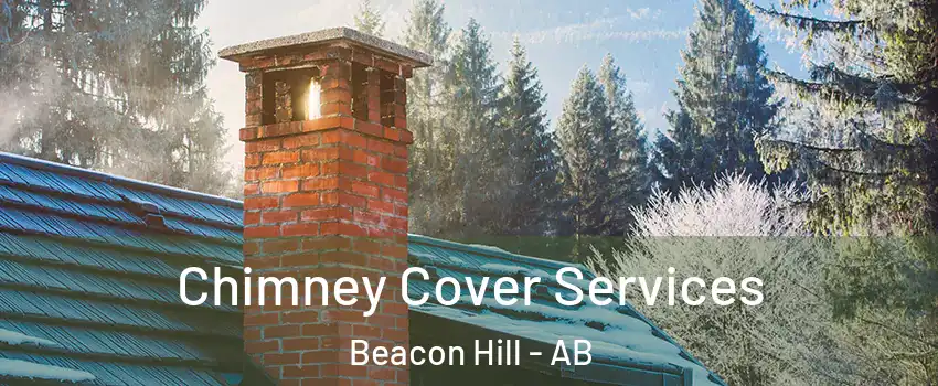  Chimney Cover Services Beacon Hill - AB