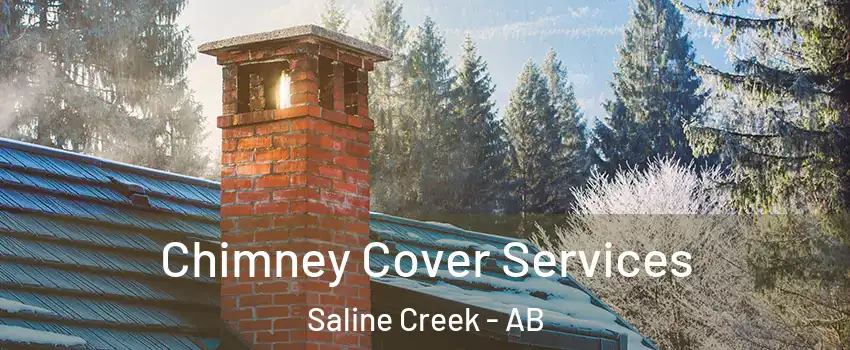  Chimney Cover Services Saline Creek - AB