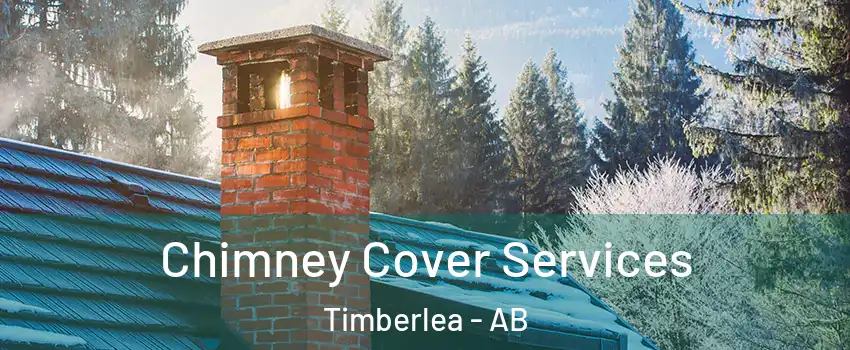  Chimney Cover Services Timberlea - AB