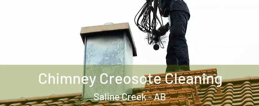  Chimney Creosote Cleaning Saline Creek - AB
