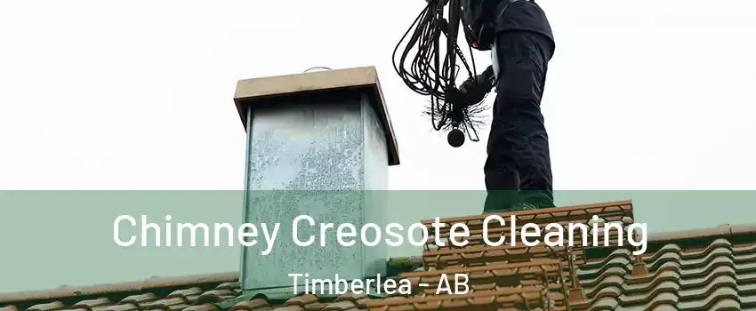  Chimney Creosote Cleaning Timberlea - AB