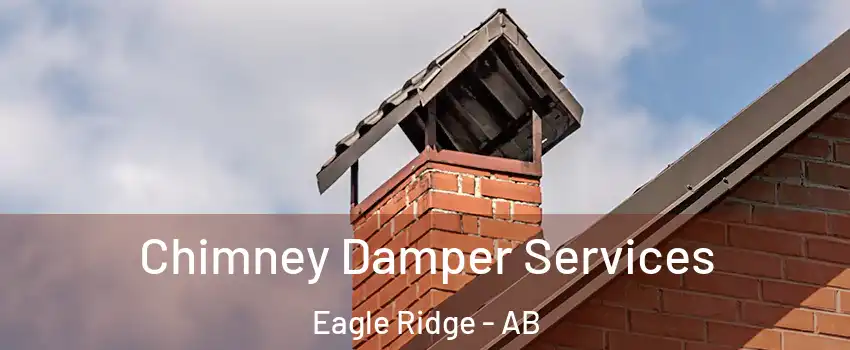  Chimney Damper Services Eagle Ridge - AB
