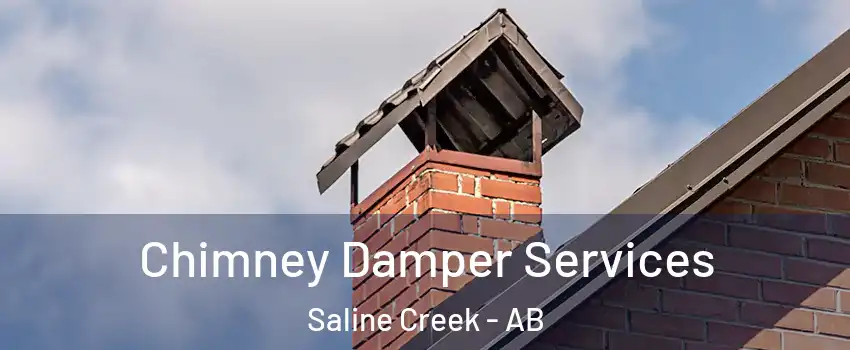  Chimney Damper Services Saline Creek - AB