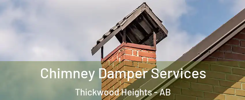  Chimney Damper Services Thickwood Heights - AB