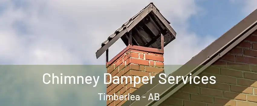 Chimney Damper Services Timberlea - AB