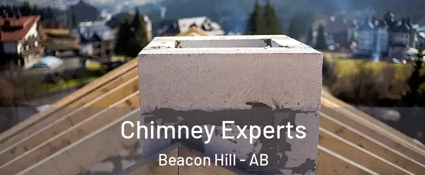  Chimney Experts Beacon Hill - AB