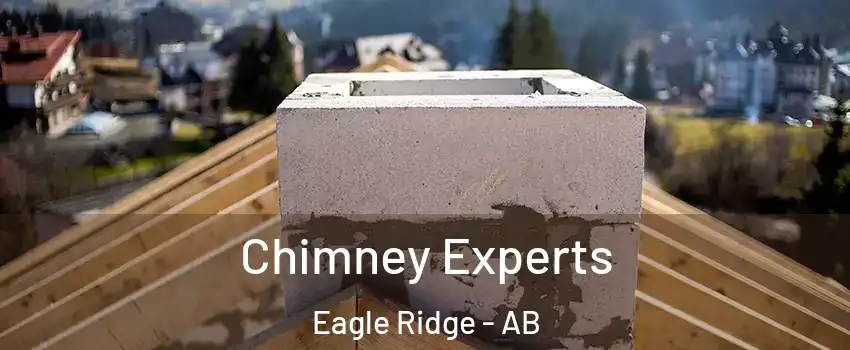  Chimney Experts Eagle Ridge - AB