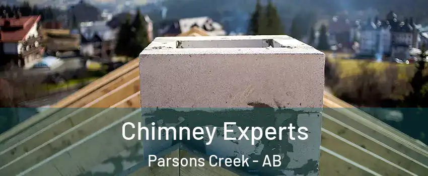  Chimney Experts Parsons Creek - AB
