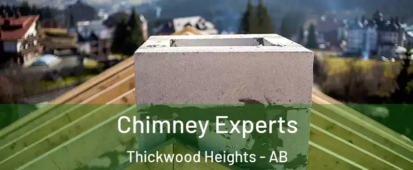  Chimney Experts Thickwood Heights - AB