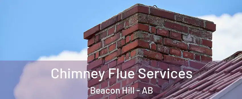  Chimney Flue Services Beacon Hill - AB