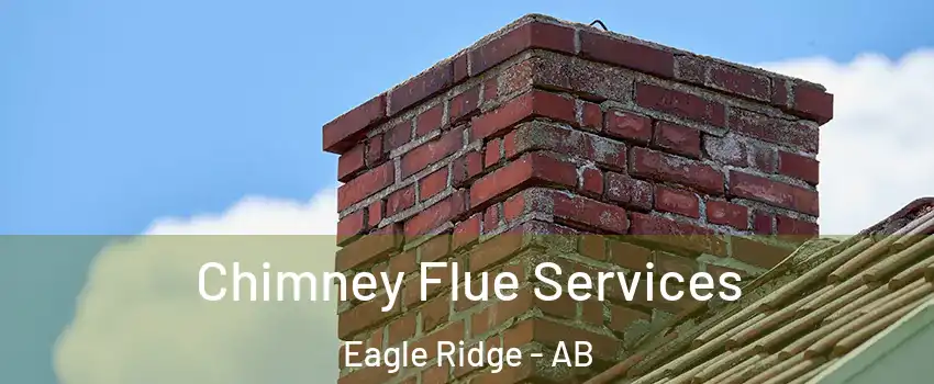  Chimney Flue Services Eagle Ridge - AB
