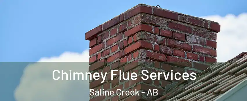  Chimney Flue Services Saline Creek - AB