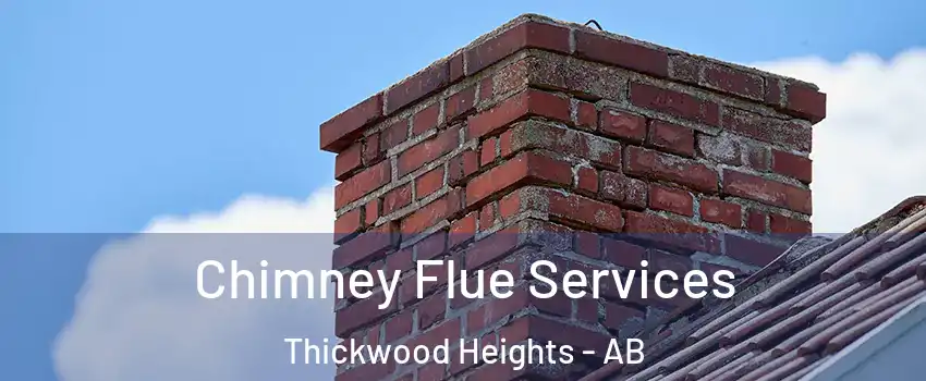  Chimney Flue Services Thickwood Heights - AB