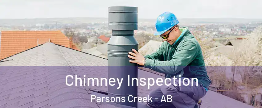  Chimney Inspection Parsons Creek - AB