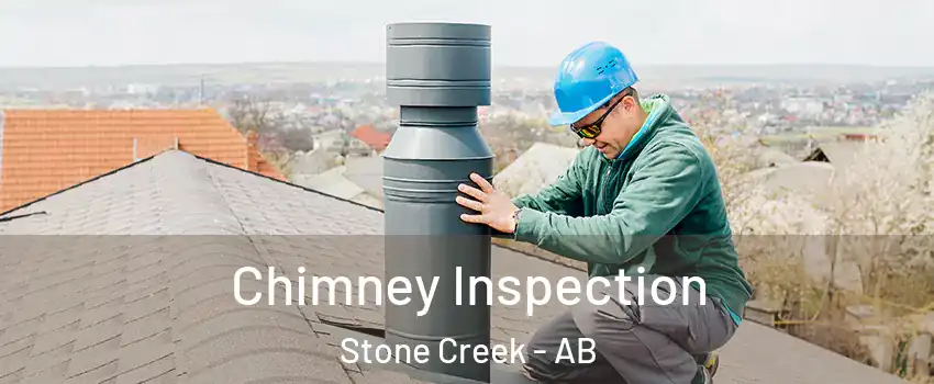  Chimney Inspection Stone Creek - AB