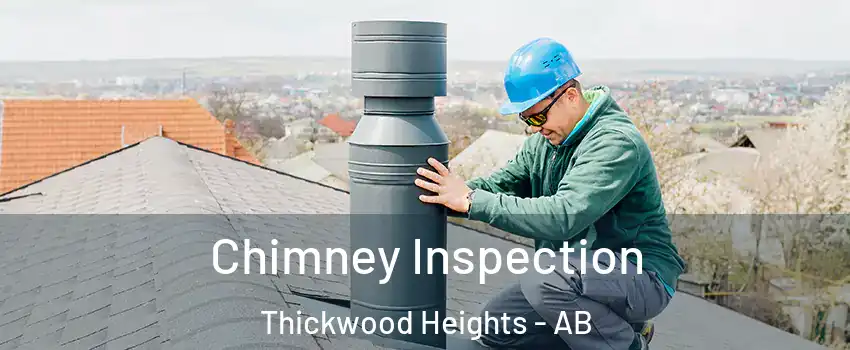  Chimney Inspection Thickwood Heights - AB